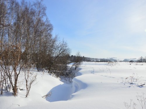 Закрытие сезона на зайца