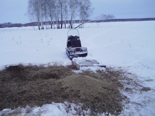 подкормили маленько