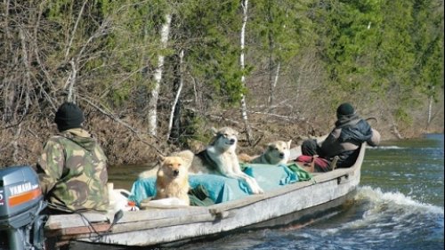 Сибирская жизнь