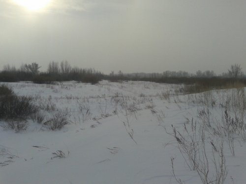 По старым местам.