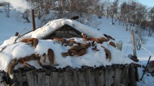 Охотники промысловики! Советское время!
