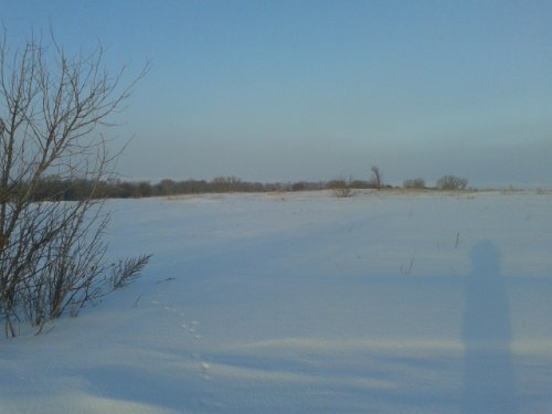За неделю до закрытия.