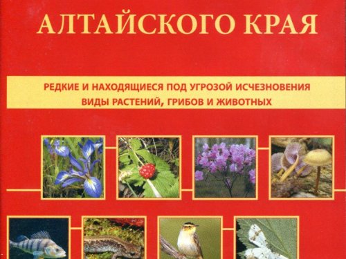 Красная книга алтайского края животные и растения картинки и названия