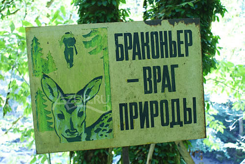 Рейды по охране объектов животного мира на территории охотничьих угодий Омской области