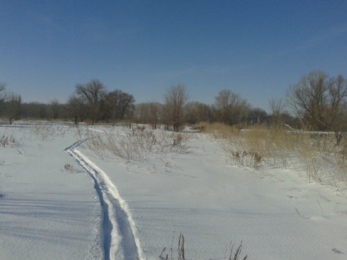 Подранок.