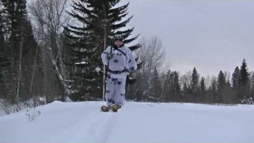 Манок на рябчика Чемпион. Охота на рябчика зимой