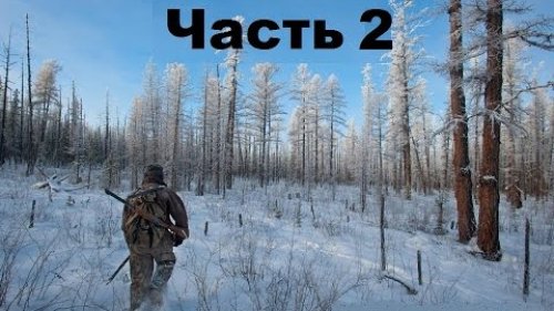 Охотники за Пушниной. Часть 2.
