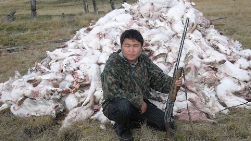 «Жизнь в районах»: Секреты охотника-промысловика, выжившего в схватке с хозяином тайги — ЯСИА