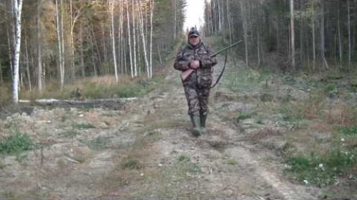 Охота на рябчика с русским охотничьим спаниелем