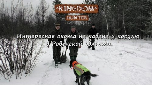 Интересная охота на кабана и косулю в Ровенской области