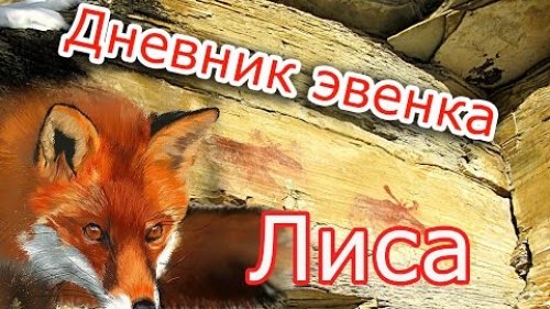 Охота на лису в зимой, какие есть хитрости?