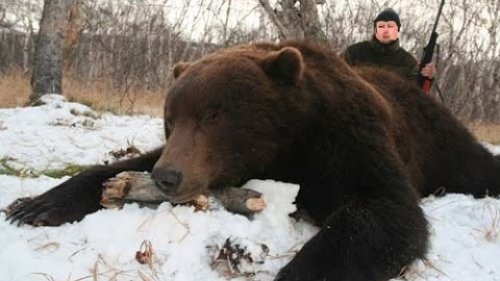 весна охота на медведя видео