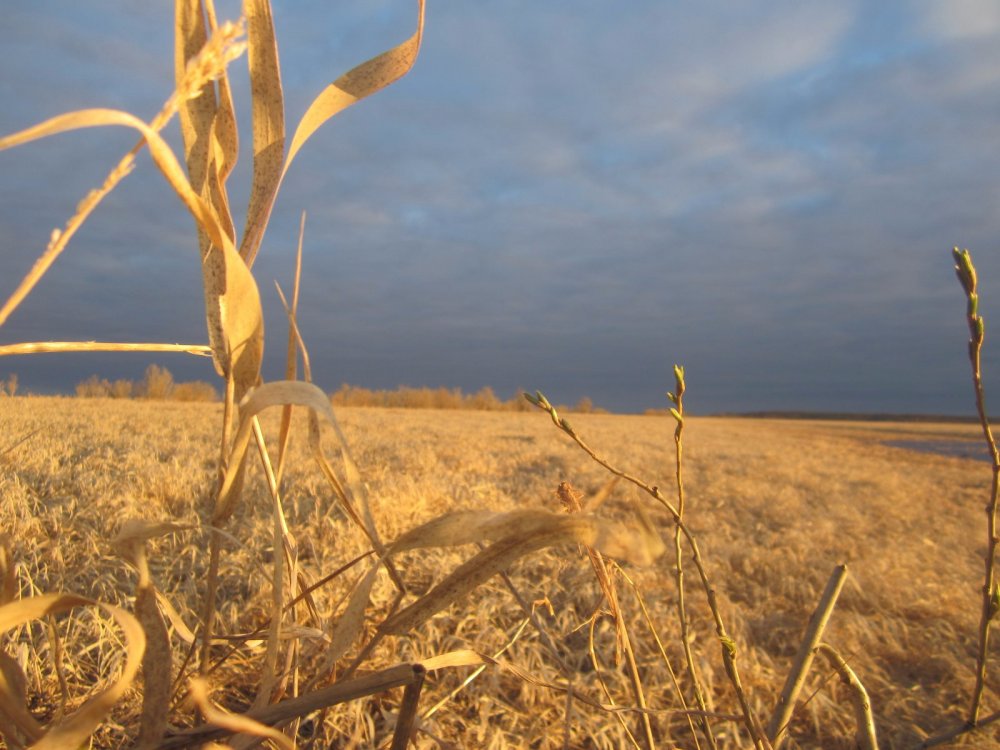 Красота природы