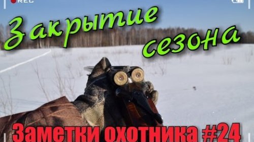 Закрытие зимнего сезона 2016-2017. Охота на рябчика, зайца, тетерева