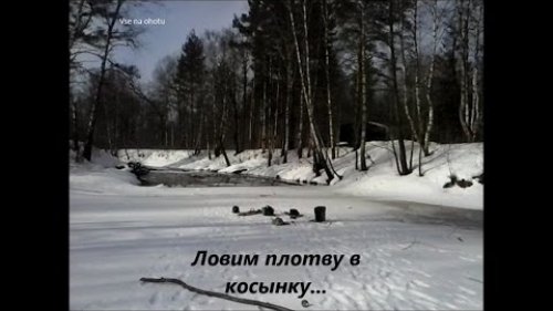 Ловим плотву в косынку...fishing