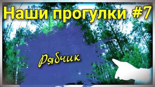 Наши прогулки #7. Рябчик. Воспитание русского спаниеля. Манки на рябчика Чемпион.