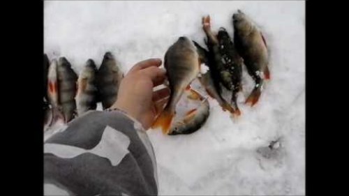 Межсезонье.