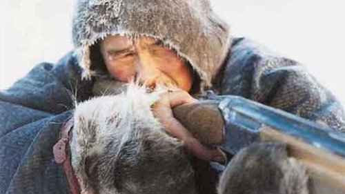 Затерянные в Сибири. Таежное одиночество.