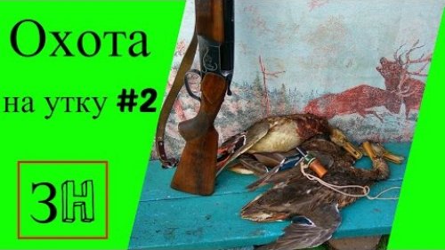 Охота на утку в 2016 #2.Осенняя охота.
