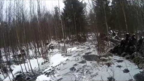 Проверка глухариного тока перед открытием  Аномальная погода