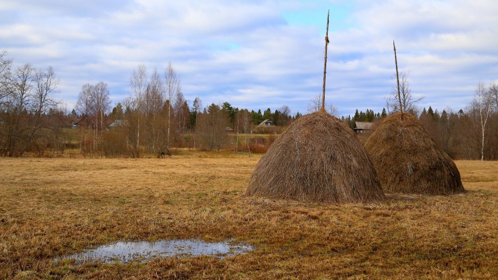 Новгородская область, Окуловский район