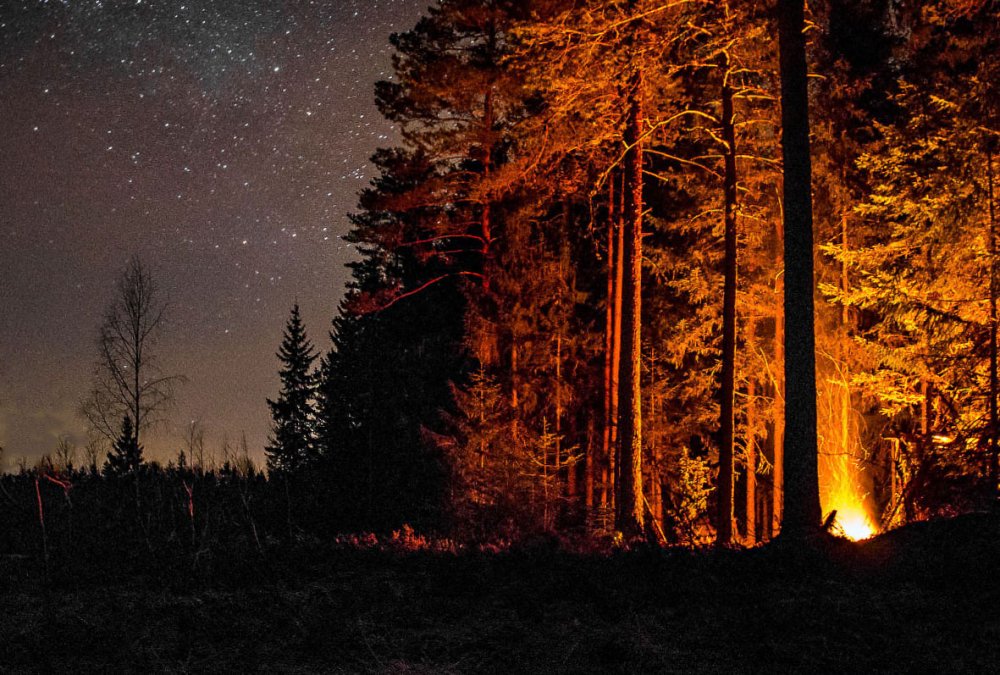 Ночь в тайге рассказ. «Ночь в лесу». Ночной костер в лесу. Костёр в лесу ночью. Тайга ночью.