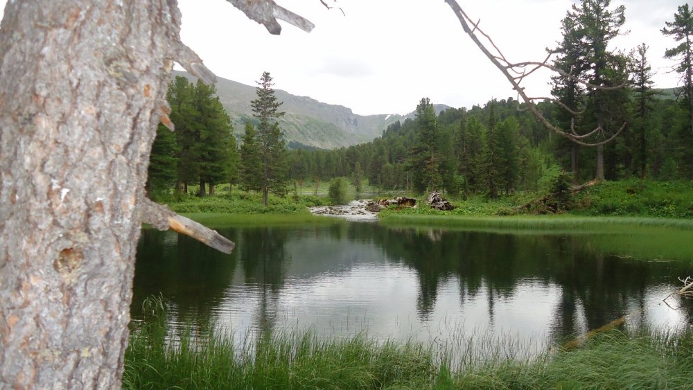 Каракольские