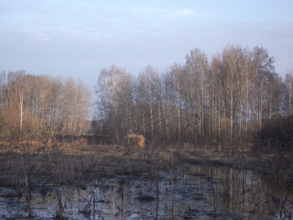 красота)
