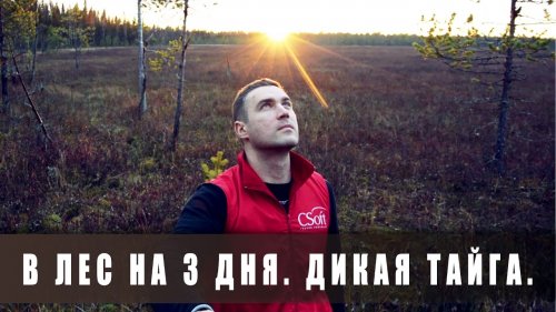 Поход в лес на 3 дня. Таёжный быт. День 2-й (осень, лес, рыбалка, ягоды)