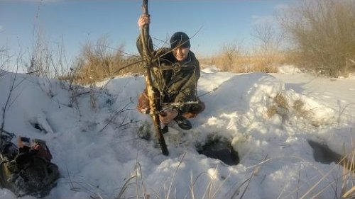 Как правильно установить капканы на бобра.