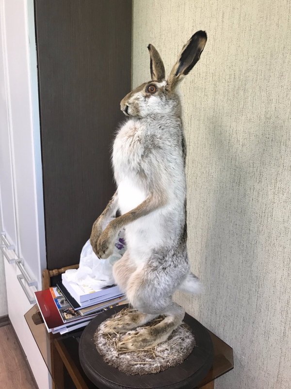 классика