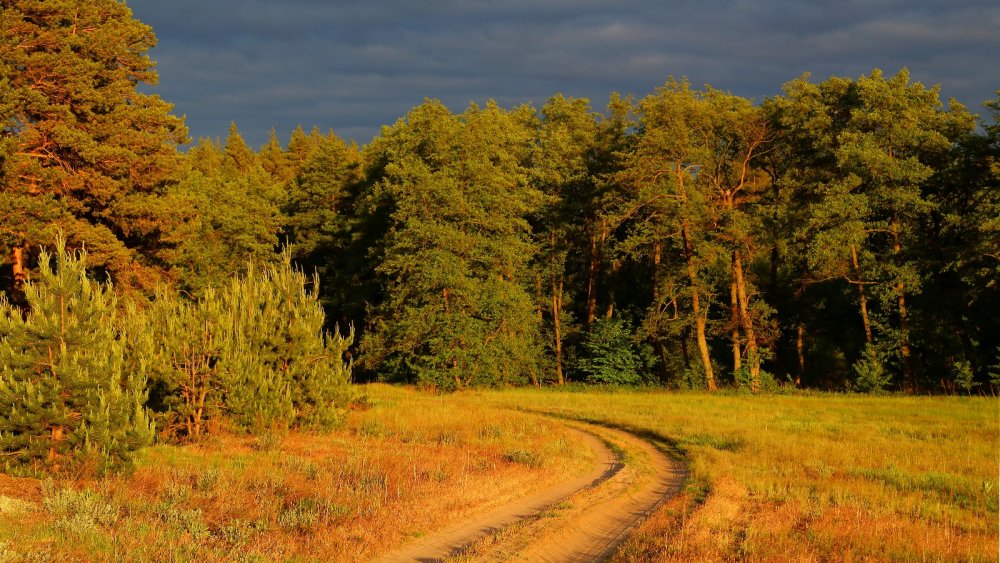 Курская область, Беловский район