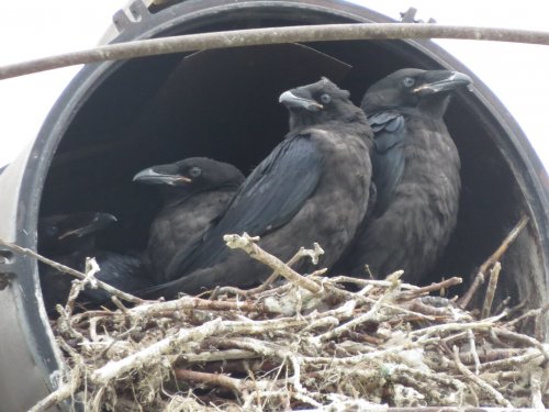 Скоро в полёт)