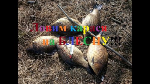 Fishing Ловим карася на блесну Yakutia