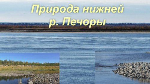 Север России. Республика Коми. Река Печора.