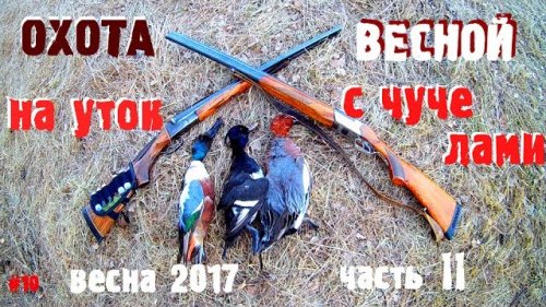 Утиная охота 2017 Часть 2