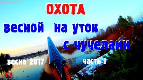 Весенняя охота на уток с чучелами