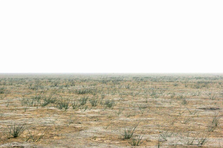 Пока до воды дойдешь, две пары Болотников сотрешь.