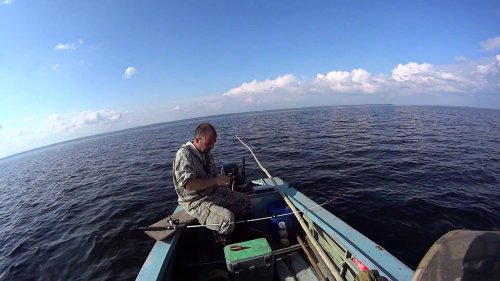 Отличная рыбалка в губе Белого моря.