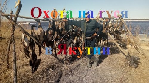 Охота на гуся 2017 в Якутии часть 1