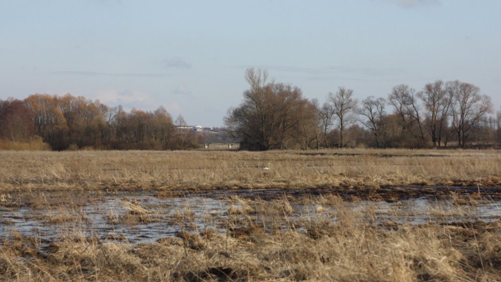 Весна 2010 года. Белгородская область