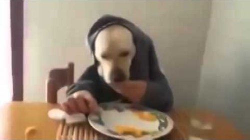 Целый день ржал