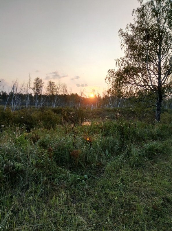 Утро на стане.