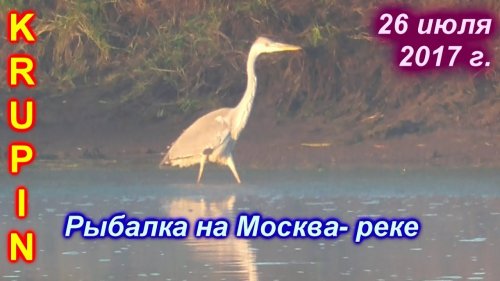Рыбалка на Москва-реке. 26 июля 2017 г.