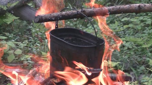 Дары тайги! Сбор смородины, проверка солонца, гроза.