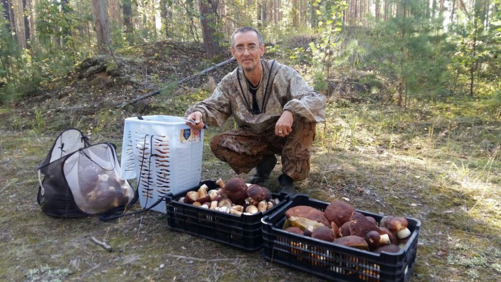 Накосили с товарищем :)