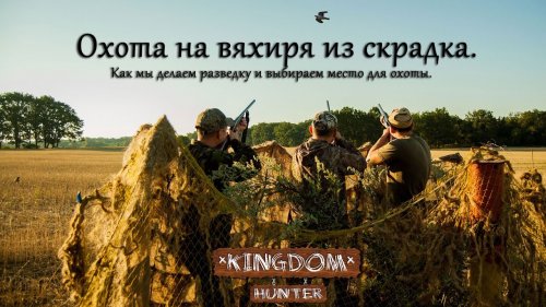 Охота на вяхиря из скрадка.  Как мы делаем разведку и выбираем место для охоты.