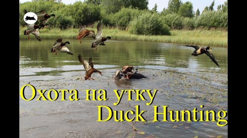 Охота на утку - Duck Hunting