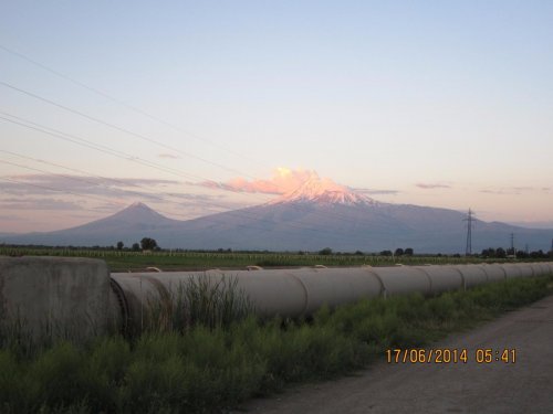 Ararat