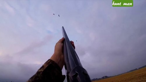 Шикарное видео с охоты на гуся